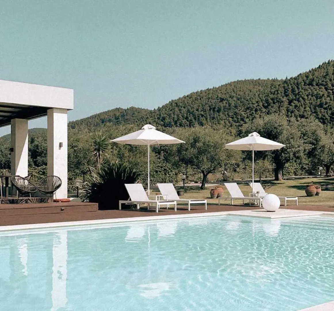Fillis House Daire Vourvourou